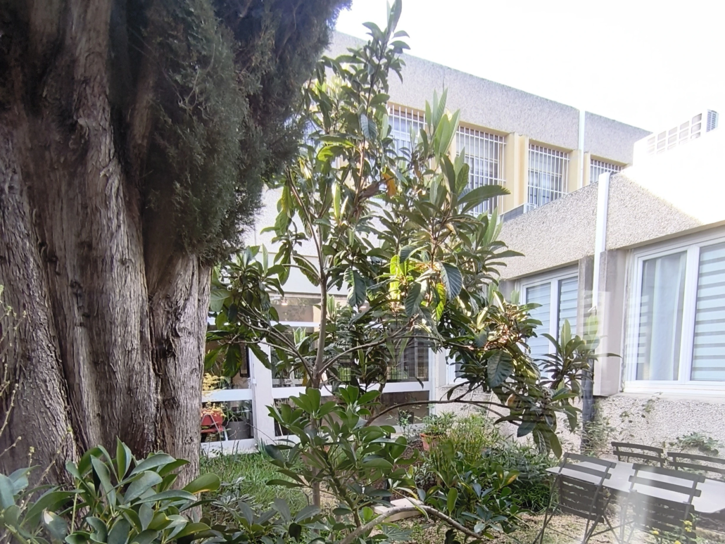 CMPP Istres - cour intérieure