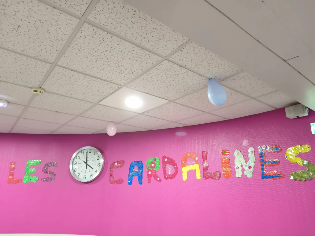 Ehpad Les Cardalines - mur intérieur Ehpad Les Cardalines - mur intérieur